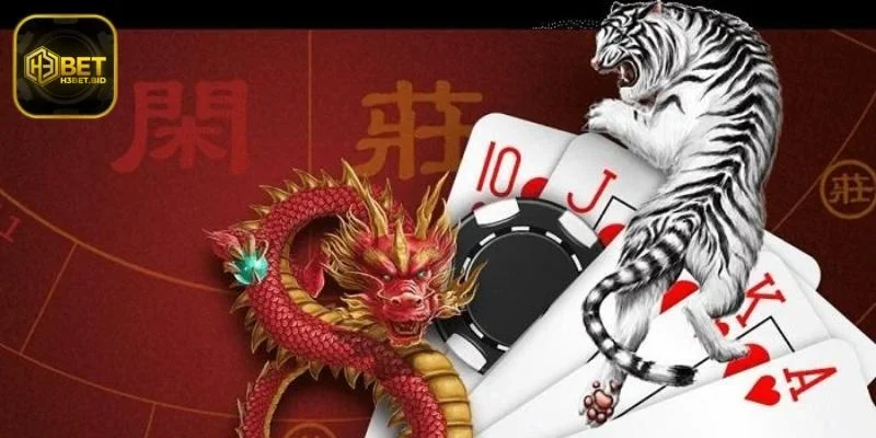Khám phá Cách Chơi Rồng Hổ đầy kịch tính
